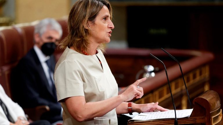 Ribera califica de «demagogia barata» la propuesta de Echenique de un decreto para bajar la luz