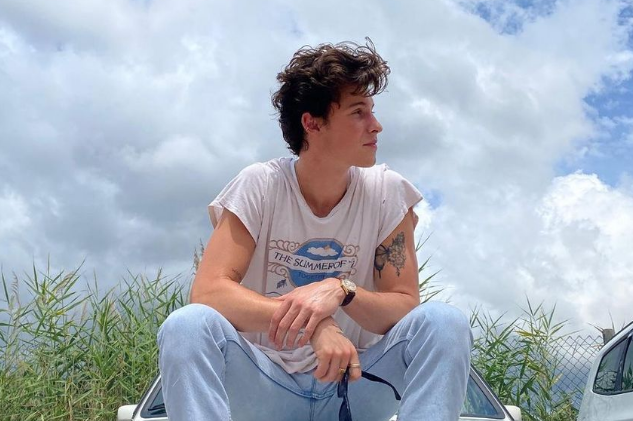 Shawn Mendes summer of love