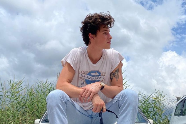 Shawn Mendes Summer Of Love