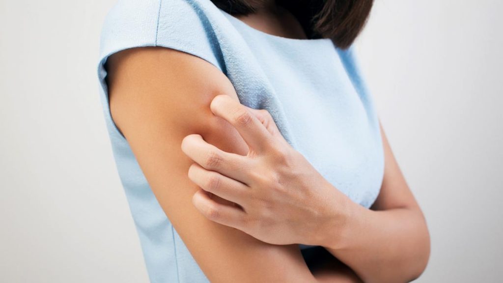 Precauciones Contra Las Picaduras De Mosquitos