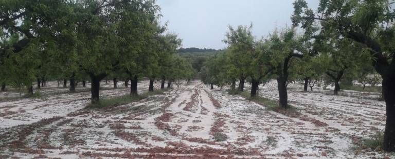Vila-real pedirá ser declarada como zona catastrófica tras la granizada del sábado