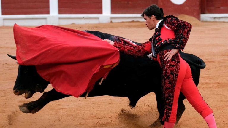 Vox pide la comparecencia de Iceta tras la polémica por los toros ‘Feminista’ y ‘Nigeriano’