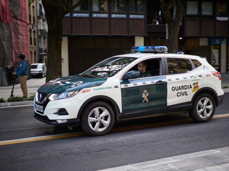Desarticulado un grupo criminal por robar en 108 explotaciones agrícolas de Cuenca y Ciudad Real