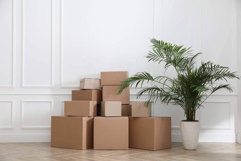 Servicios de mudanzas en Barcelona asequibles para todos: Cajas Mudanza BCN
