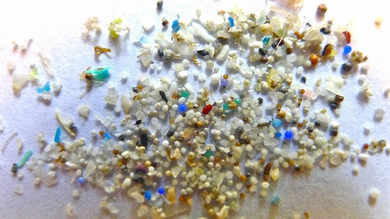 Un estudio muestra los efectos de los microplásticos en las membranas celulares