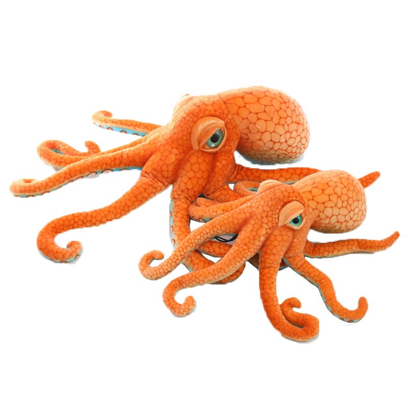 Pulpo 7