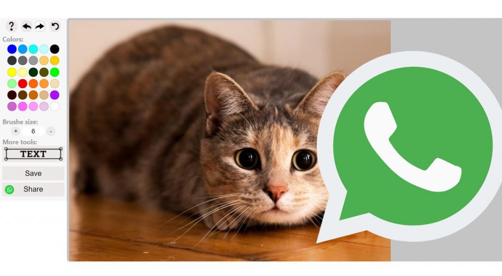 Whatsapp Editar Foto