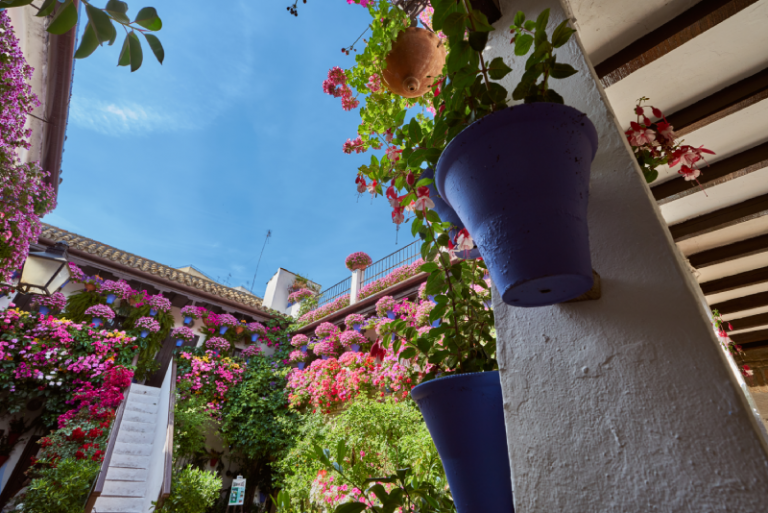 Los Patios, la fiesta de Córdoba más buscada por los usuarios en Google según Semrush
