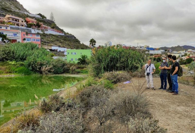Localizan una veintena de aves muertas en la charca de El Manisero, en Tejina