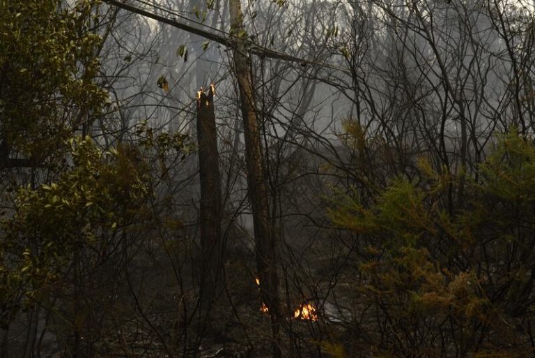 Feijóo confía en «disminuir el impacto» del incendio de Ribas de Sil si el viento «no empeora»