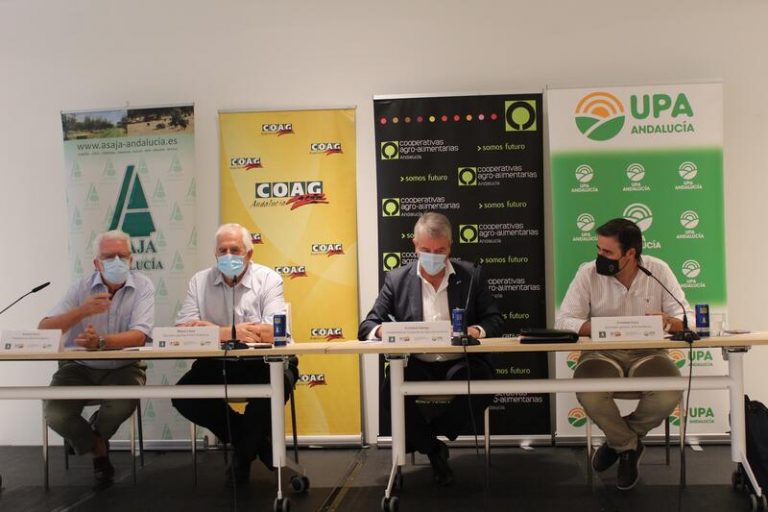 El sector agrario alerta de «la pérdida de renta» que provocarán los ecoesquemas en Andalucía