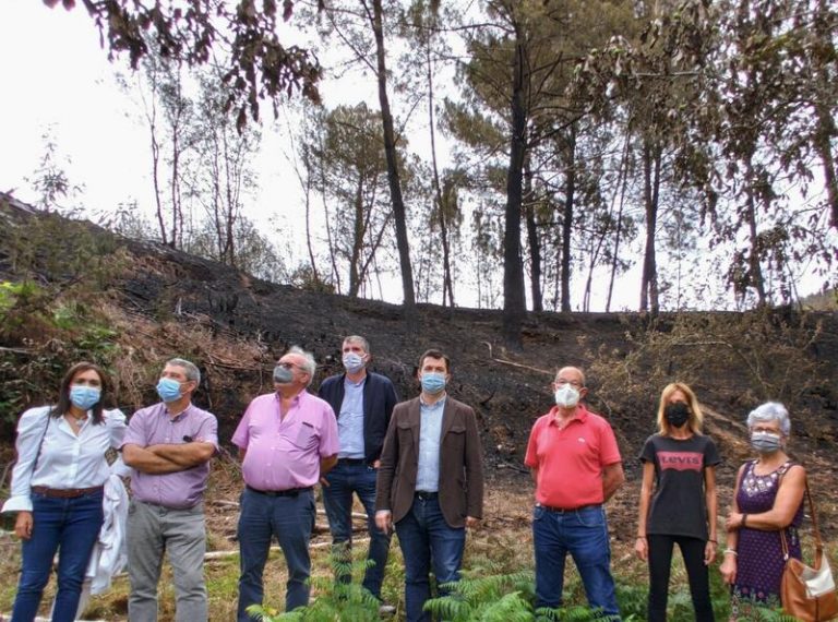 PSdeG «un acuerdo de país» para «una nueva» política forestal