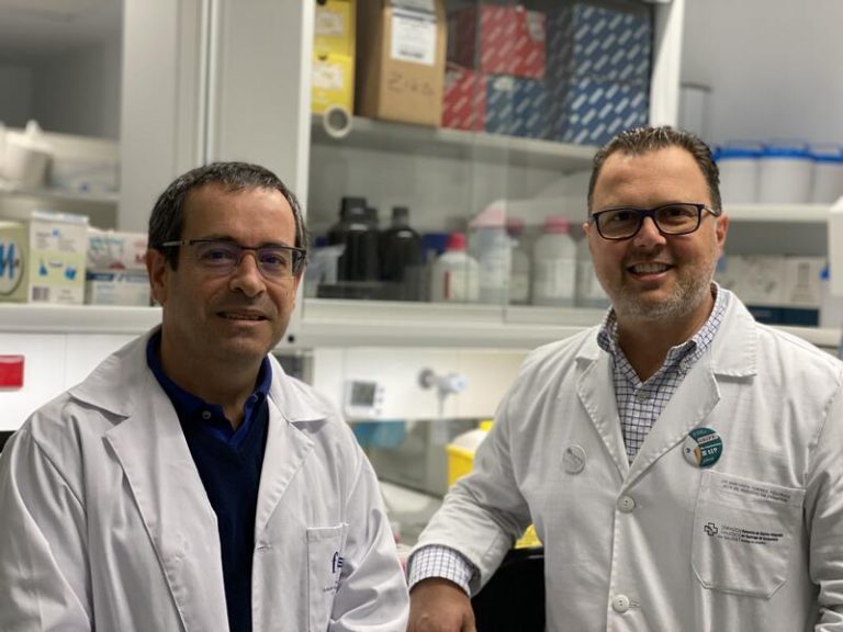 Investigadores desarrollan una herramienta para analizar las variantes del virus