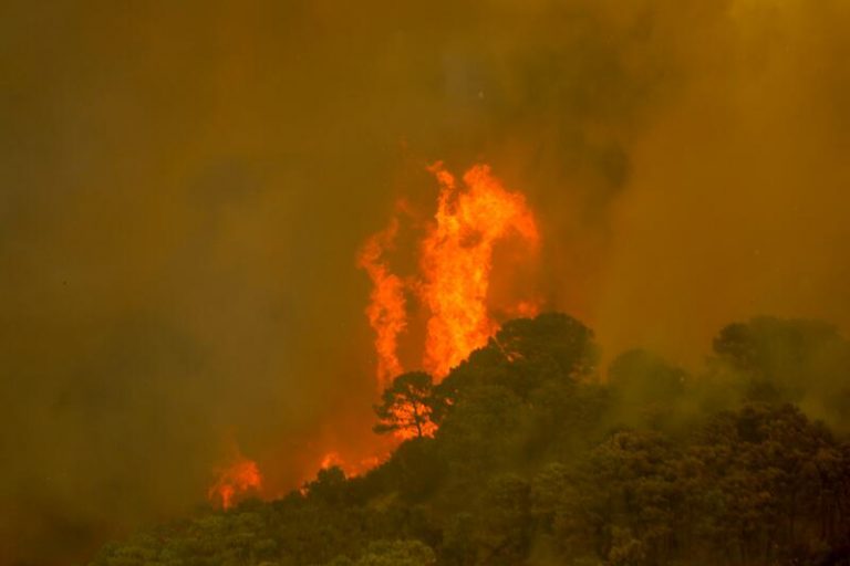 Fallece un bombero forestal en el incendio de Sierra Bermeja