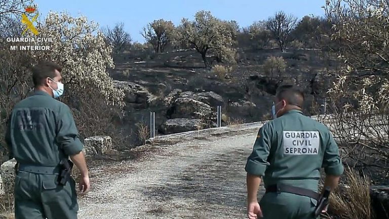 Detenido el presunto autor del incendio forestal de Hinojos producido en agosto