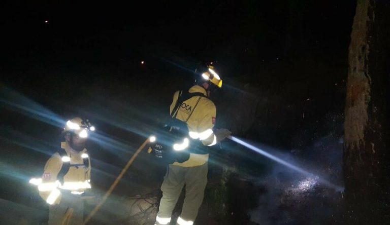 Controlado el incendio forestal en Sierra Bermeja (Málaga)