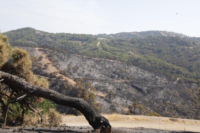 Infoca: Quedan semanas de trabajo «duro» pero «llevadero» en Sierra Bermeja