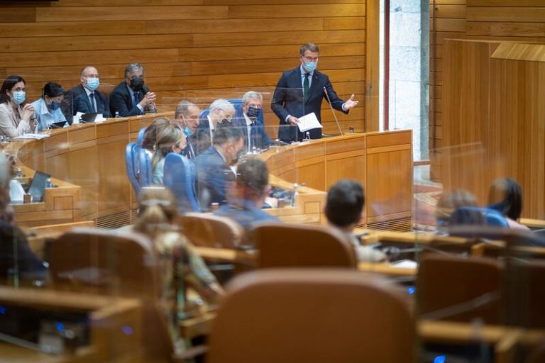 Feijóo insta a PSOE a pedir «perdón» por «usar políticamente la pandemia»