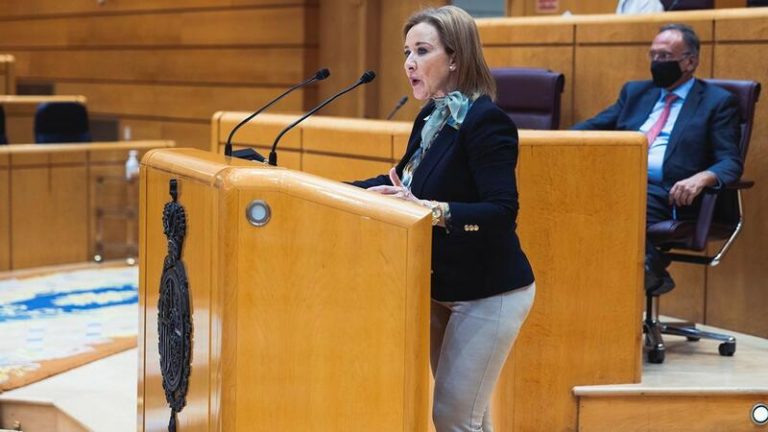 Vox afirma que apoyará la moción de Cs en la que se exige al Gobierno transparencia por el rescate a Plus Ultra