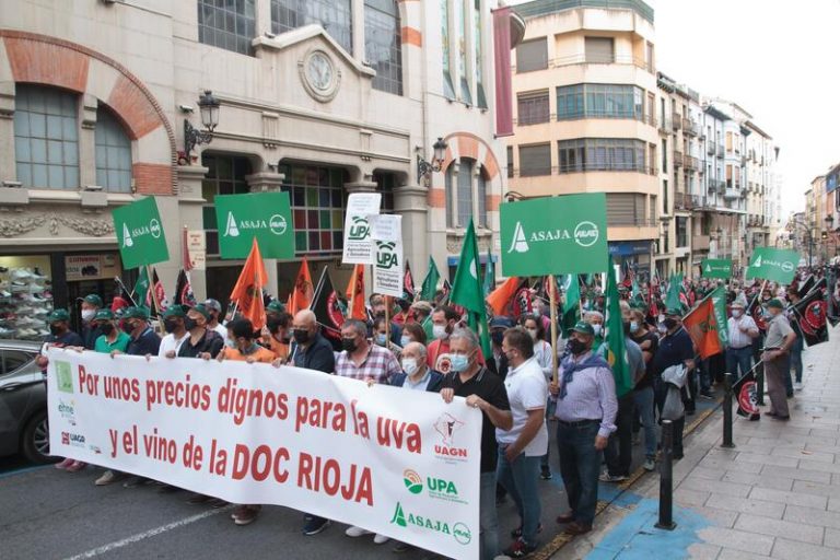 Cerca de un millar de viticultores de Rioja exigen precios dignos para la uva
