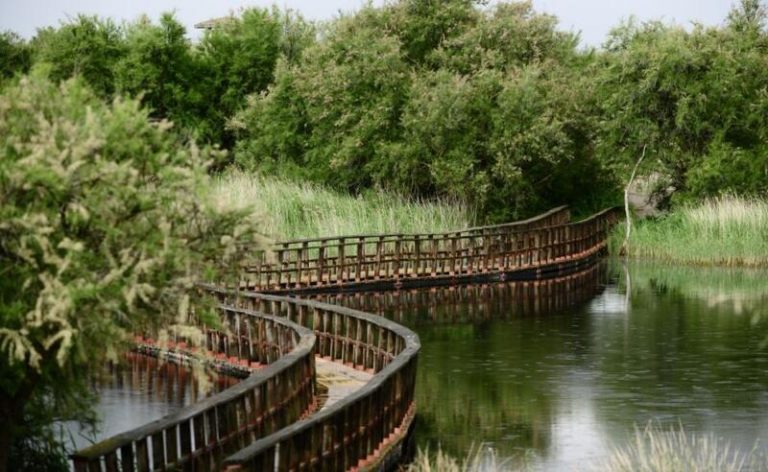 Aprueban el bombeo de agua al parque nacional de las Tablas de Daimiel