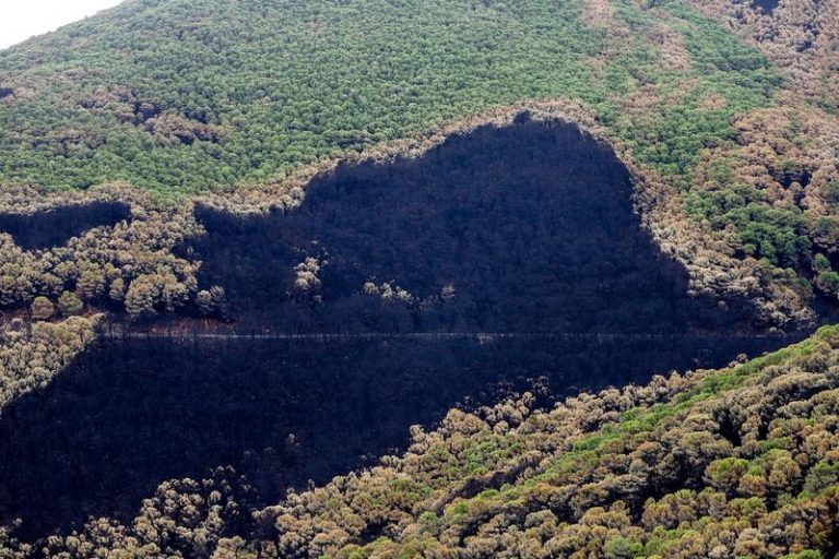 Estepona volverá a reiterar la inclusión de Sierra Bermeja en el Parque Nacional Sierra de las Nieves