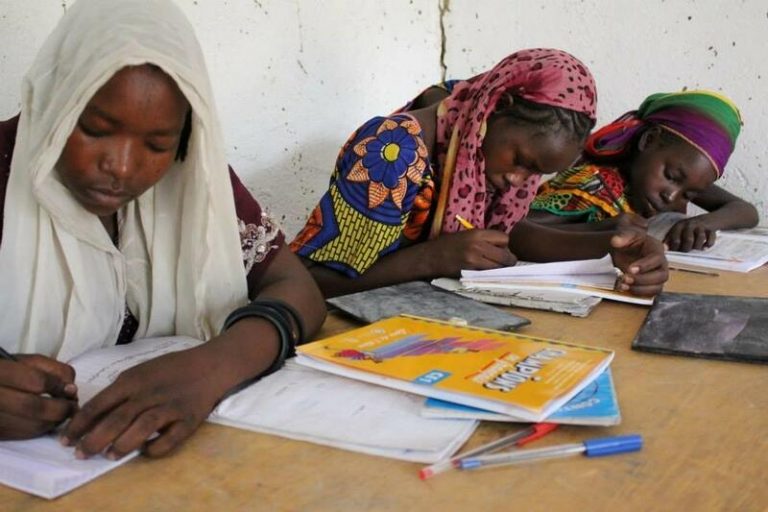 Entreculturas alerta de que la educación en el mundo está «en riesgo»