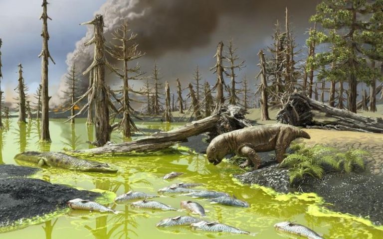 Una sopa tóxica se sumó al cóctel de la peor extinción en la Tierra