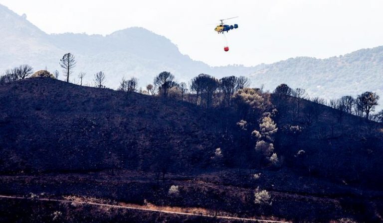 Andalucía pedirá la declaración de zona catastrófica tras el incendio en Sierra Bermeja