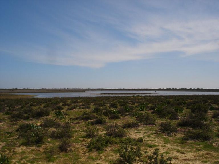 El Gobierno destaca «controles exhaustivos» para los riegos legales en Doñana