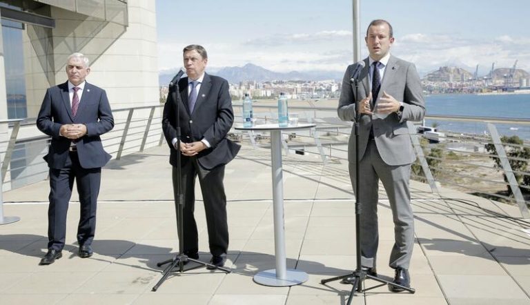Planas: El Gobierno hará «lo que sea necesario» para ayudar a los agricultores afectados en La Palma