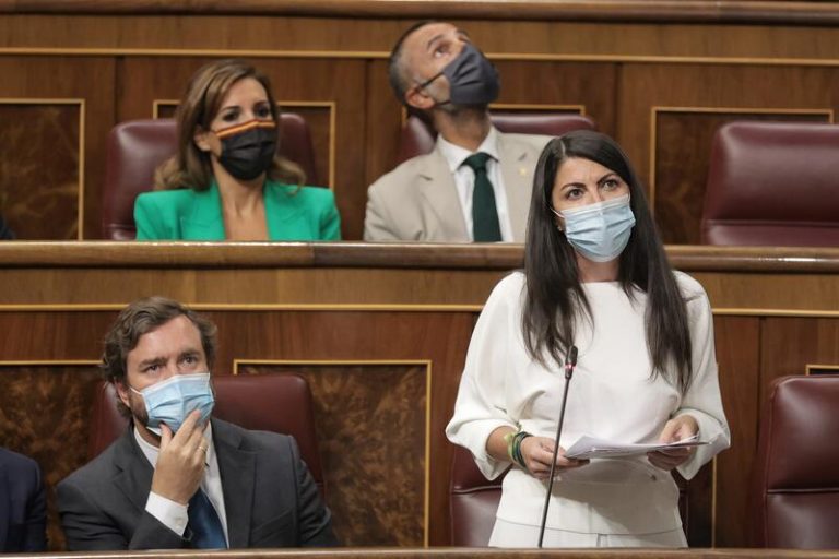Vox censura a Marlaska por «verter» delitos de odio