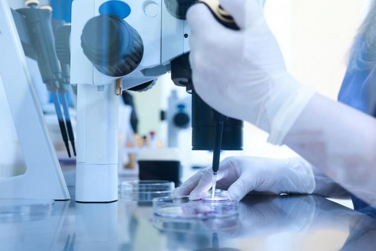 FJI-Precarios exigen aumentar al 30% la reserva de plazas de estabilización en universidades para investigadores