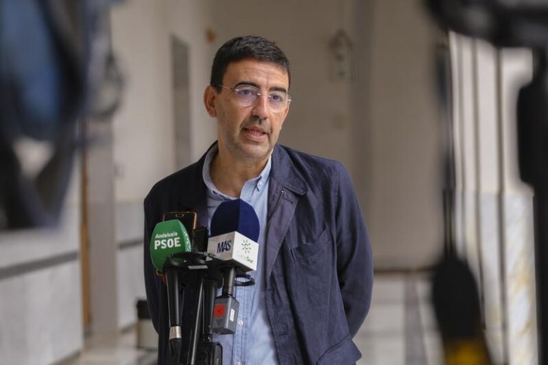 PSOE-A pide a Moreno que aclare la «decisión política de frenar el despliegue de la UME» en el incendio de Málaga