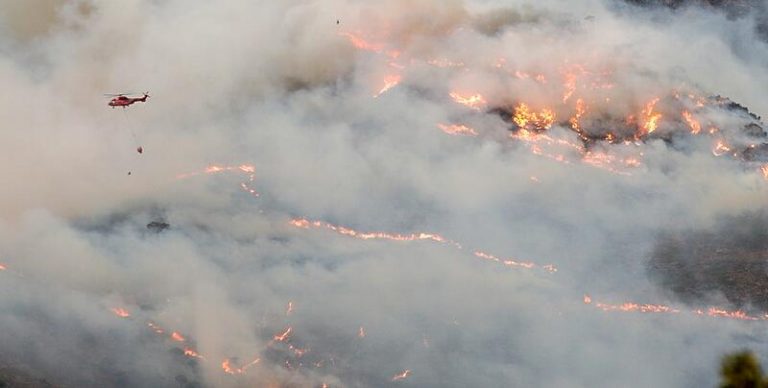 La Fiscalía de Málaga presenta una denuncia por el incendio de Sierra Bermeja