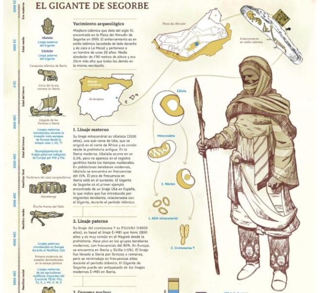 Publican la secuencia del genoma de un individuo único de la España medieval islámica, Al-Ándalus