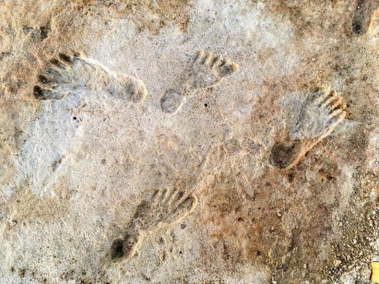 Huellas encontradas en Nuevo México prueban la actividad humana hace más de 23.000 años