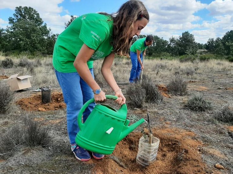 Iberdrola involucra a 5.000 voluntarios en iniciativas relacionadas con medioambiente