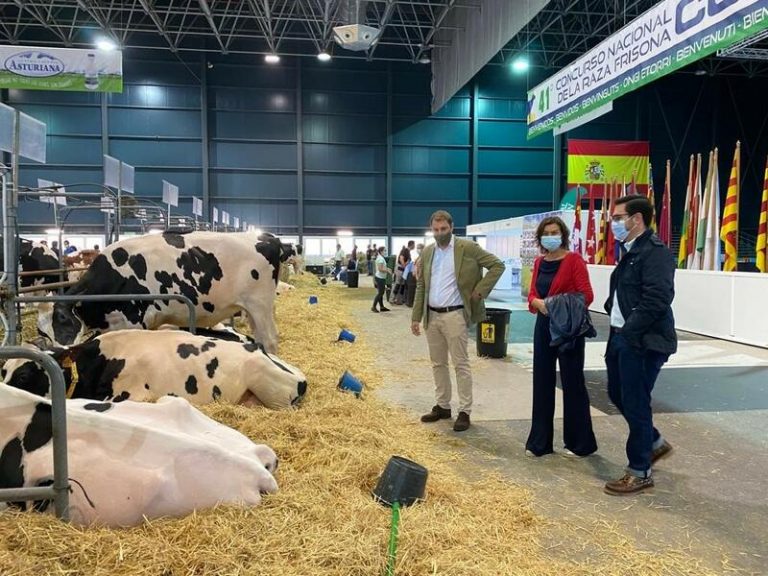 Foro Asturias exige más agilidad en el pago por daños causados por el lobo