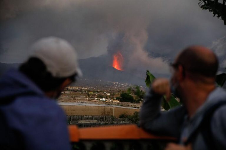 Los veterinarios resaltan el sistema de atención a los animales afectados por la erupción en La Palma