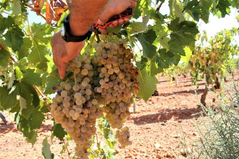 Los vientos alisios arreciarán en Canarias mientras en la Península y Baleares será un día soleado