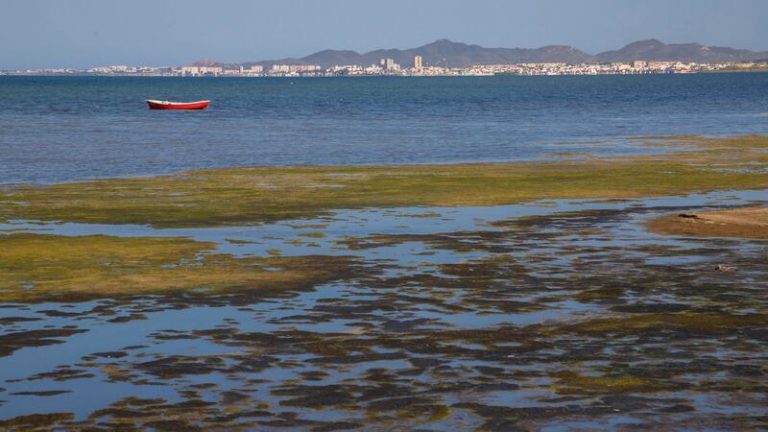 PSOE, PP y VOX rechazan imponer una tasa a los agronegocios para financiar la recuperación del Mar Menor