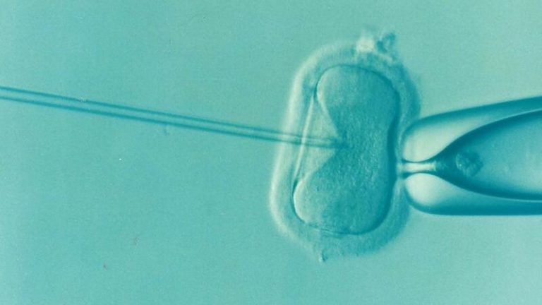 En 2019 se llevaron a cabo 148.358 tratamientos de fecundación ‘in vitro’