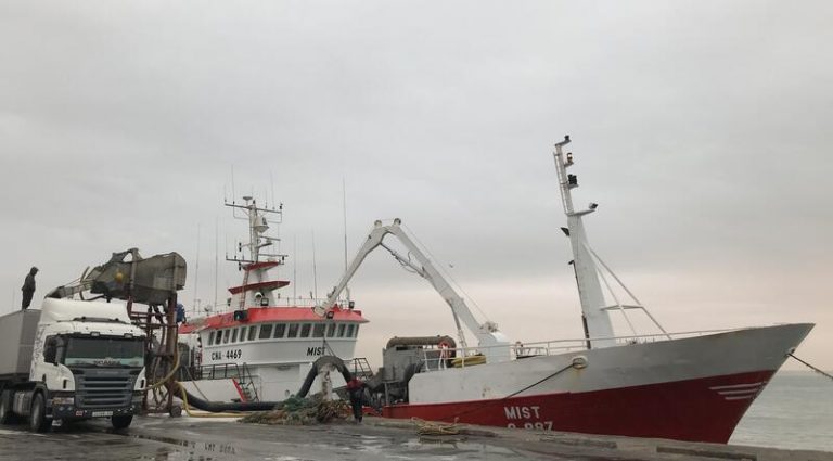 El sector pesquero español, cauto ante la anulación del acuerdo de pesca entre la UE y Marruecos