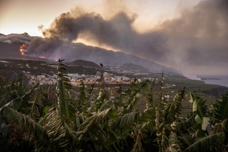 Cortes Valencianas muestran su «cariño» a La Palma