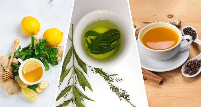 Antibióticos naturales que refuerzan tu sistema inmunológico