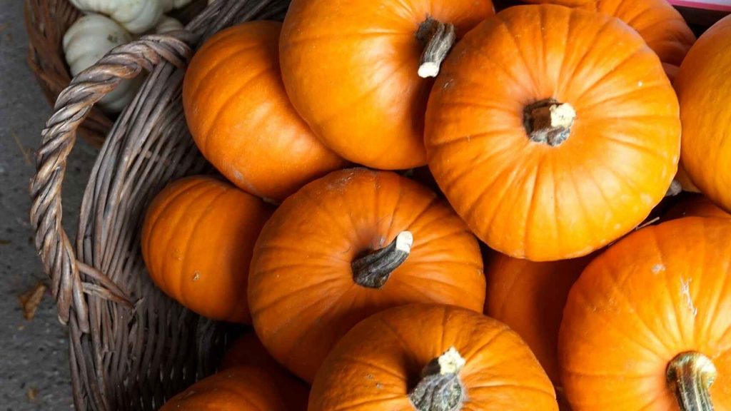 Calabaza