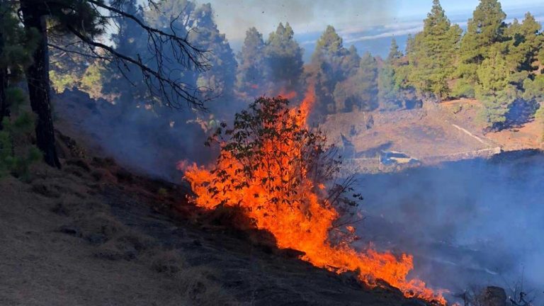 Valencia envía efectivos a participar en la extinción de los incendios de Alicante y Castellón