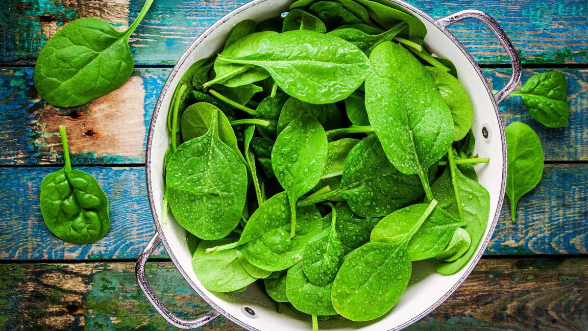 Verduras De Hoja