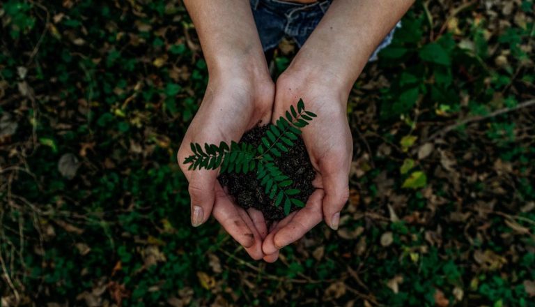 La Fundación Biodiversidad destinará 9,4 millones a proyectos de formación e inserción laboral